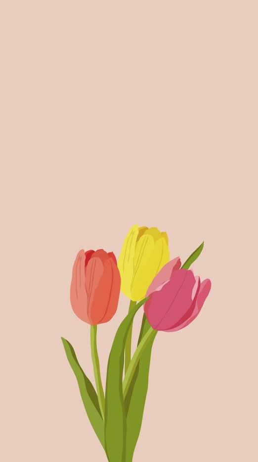 Spring Background   Spring Wallpapers For IPhone   HD Quality Spring Backgrounds