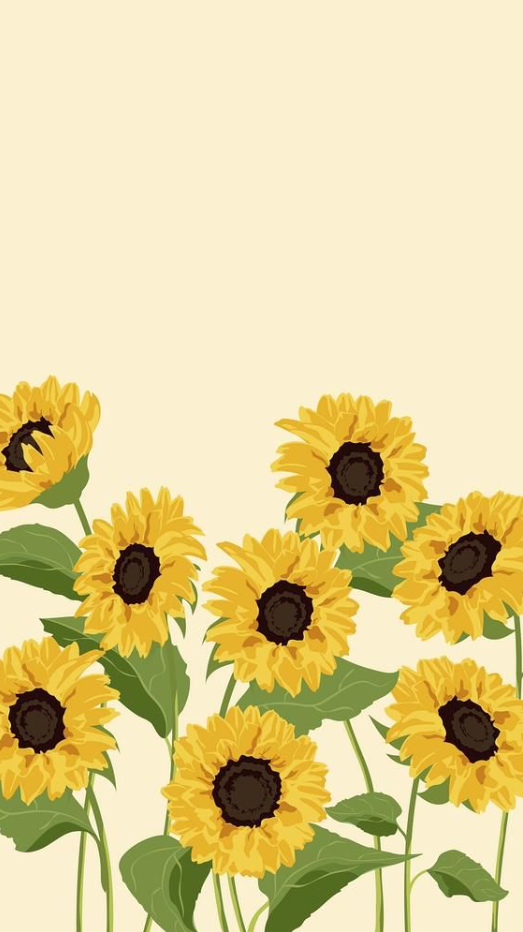Spring Background   Sunflower IPhone Wallpaper, Aesthetic Spring Background