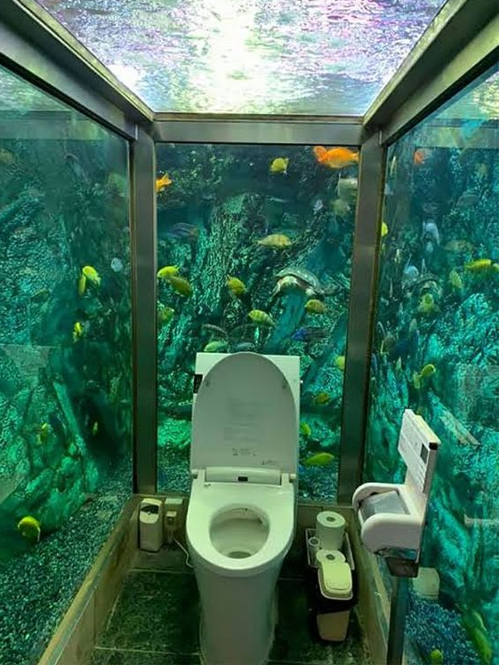 Cool Bathroom Decor   Aquarium Architecture