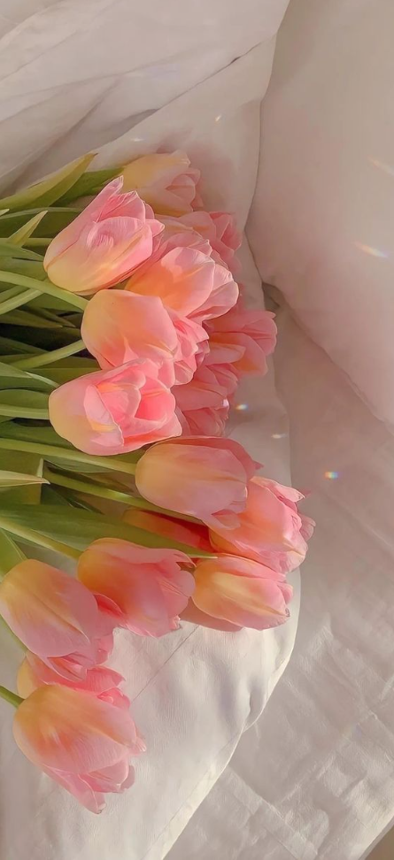 Aesthetic Iphone Backgrounds - Beautiful bouquet of flowers