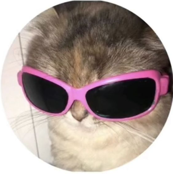 Aesthetic Profile Picture   Round Icon Pfp Cool Cute Cat Pink Sunglasses Aesthetic Y2K Profile