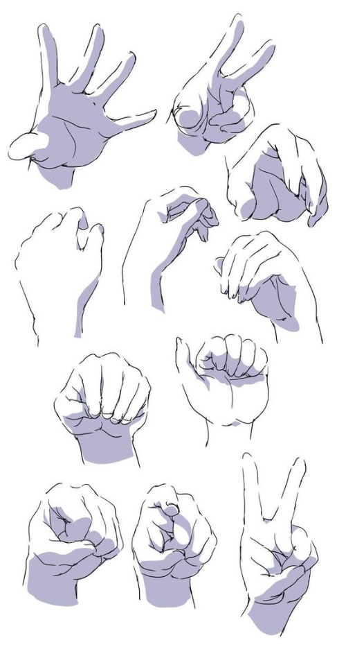 Hand References Drawing   Art Drawings