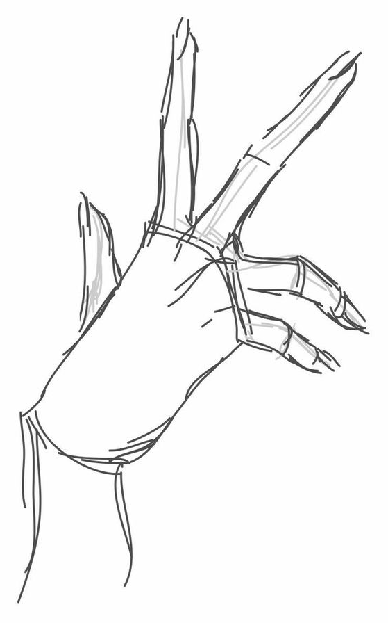 Hand References Drawing - Line art drawings