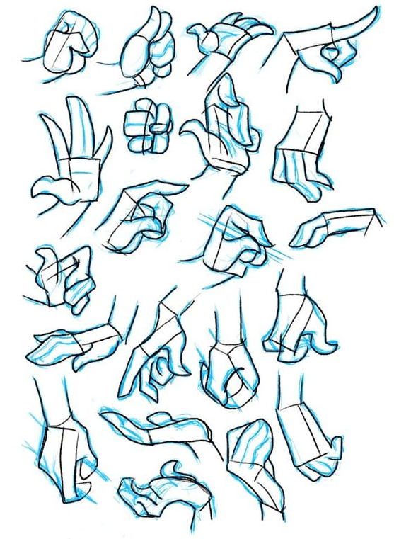 Hand References Drawing   Tips On Drawing