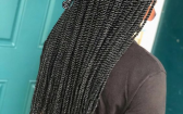 Sengalese Twists   Small Marley Twists