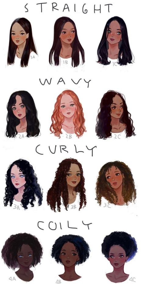 Hair Reference Drawing   How To Draw Hair Curly Hair Styles
