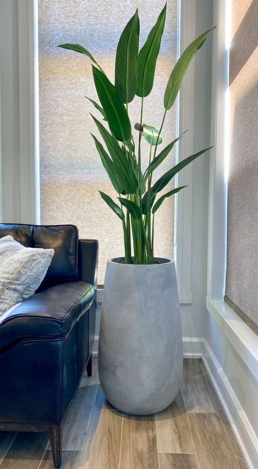 Living Room Plants Decor   Bird Of Paradise Fake