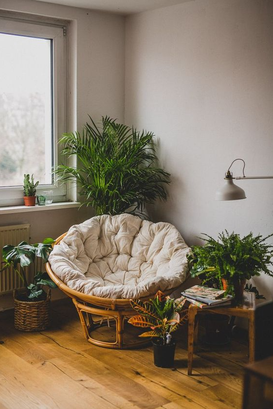 Living Room Plants Decor   Minimalist Bedroom Furniture