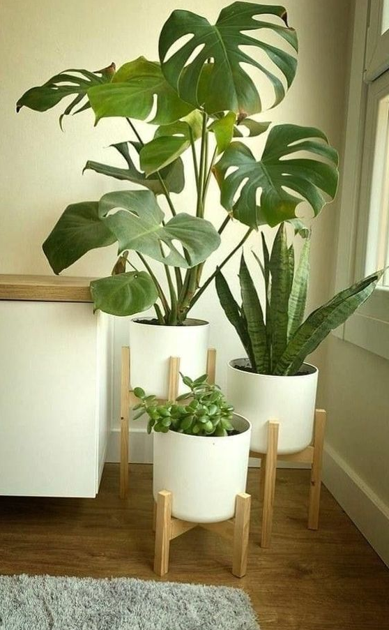 Living Room Plants Decor   Plant Stand Wall Plant Stand Large Plant Stand Black