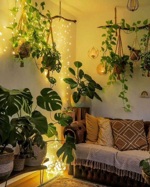 Living Room Plants Decor   Stunning Indoor Plant Corner