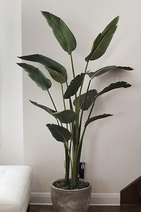 Living Room Plants Decor   The Best Fake Plants To Add Some Life To Your