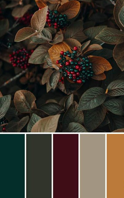 Autumn Color Palette - Autumn color palettes