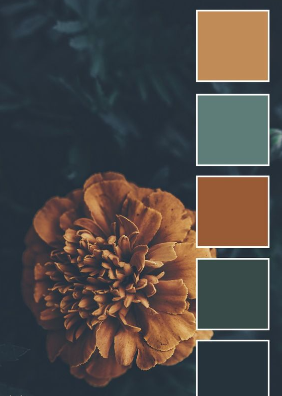Autumn Color Palette - Color Palette Dark Moody Paper Heart Design