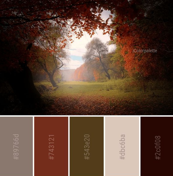 Autumn Color Palette - Color Palette Ideas from Nature Autumn Leaf Image