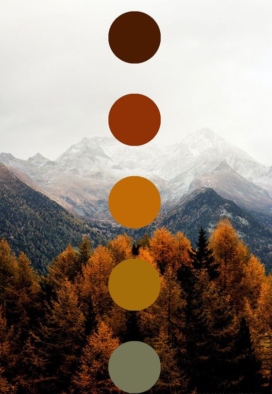 Autumn Color Palette   Discover Beautiful Color Palettes Perfect For The Fall Season