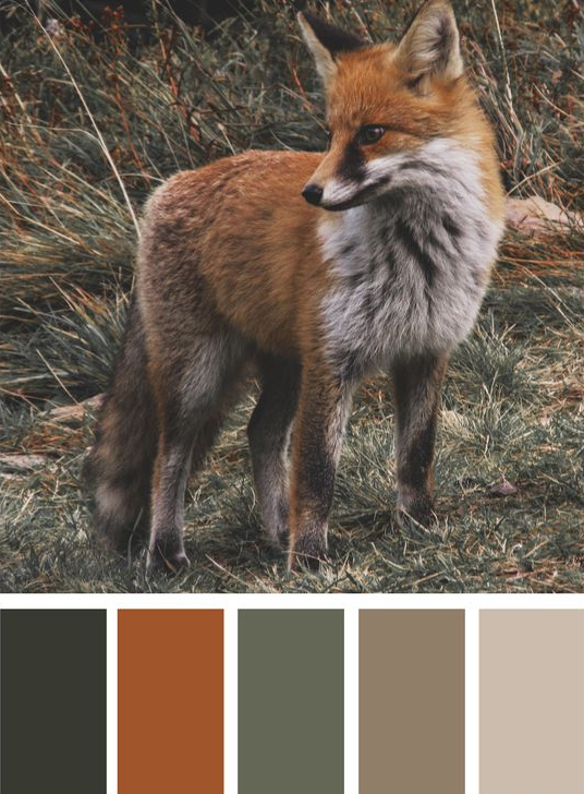 Autumn Color Palette - Fall Fox Color Palette with Hex Codes