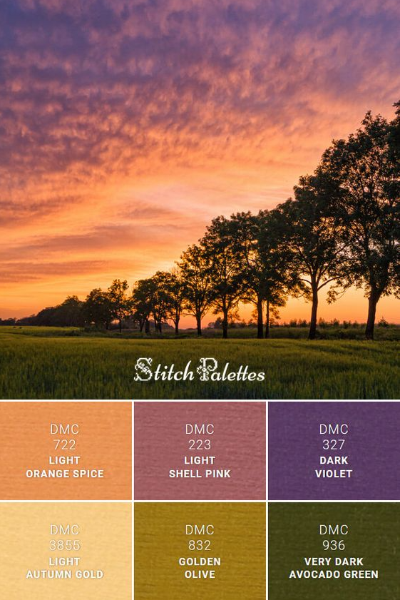 Autumn Color Palette - Field Of Sunset Autumn color palettes