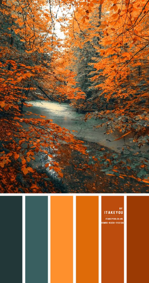 Autumn Color Palette - Green Teal and Shades of brown leaf Color Combo