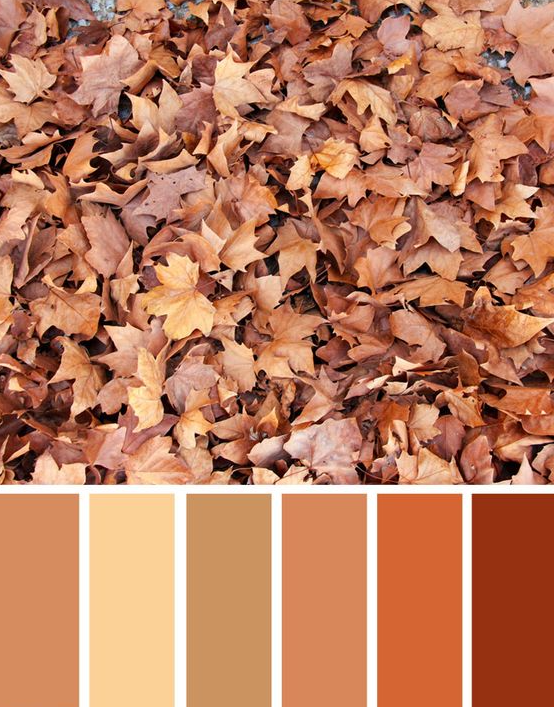 Autumn Color Palette - Pretty Autumn Color Schemes Golden brown autumn leaves
