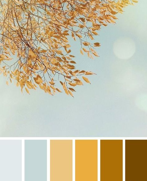 Autumn Color Palette - Yellow Autumn leave color scheme autumn color palette blue and yellow gold color combo