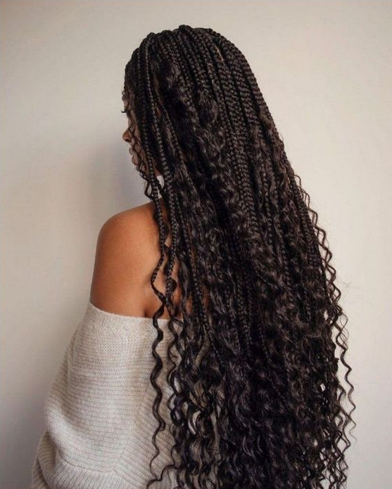 Best Braid Styles - Fabulous Box Braids Protective Styles on Natural Hair with Full Guide for 2023