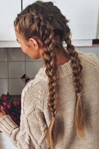 Best Braid Styles - From French To Box Variety Of Two Braids Styles Design