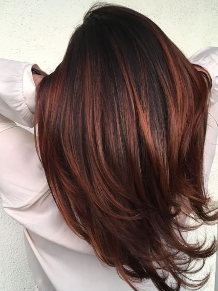 Chocolate Copper Hair - Red Hot Balayage