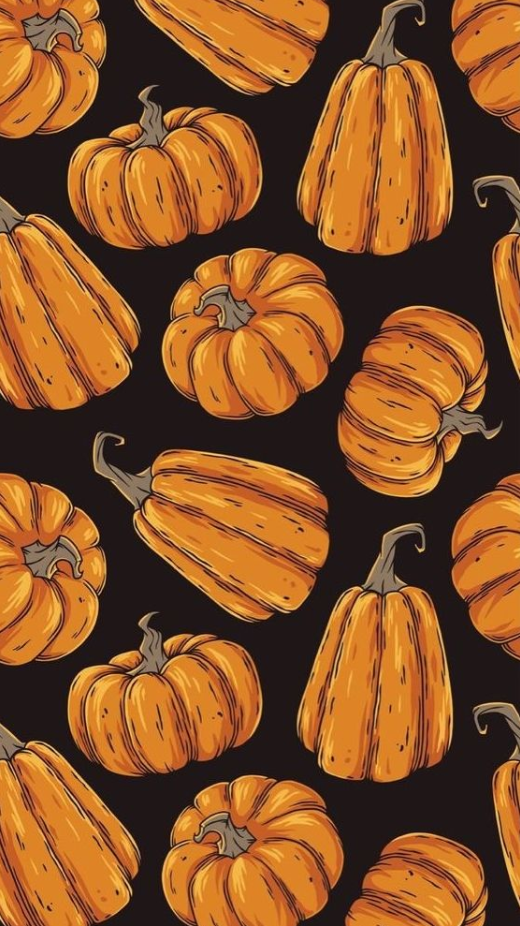 Fall Background - Amazing Pumpkin Wallpaper Choices to Get in the Fall Spirit