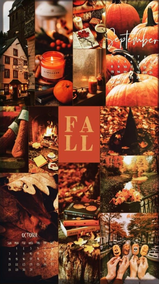 Fall Background - Fall Collage Fall backgrounds iphone Iphone wallpaper fall Cute fall wallpaper