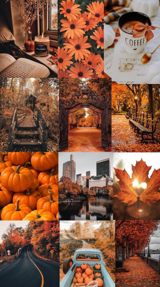 Fall Background – Aesthetic Halloween Iphone Wallpaper Dancing Skeleton ...
