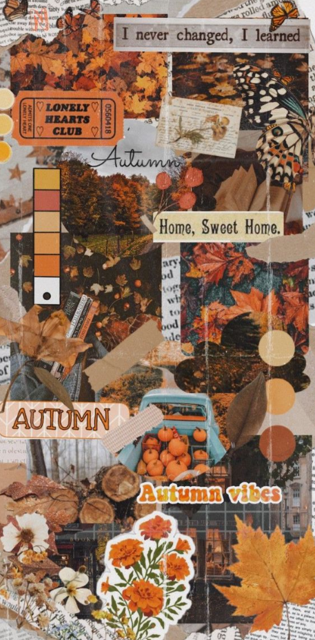 Fall Background - Iphone wallpaper fall autumn phone wallpaper cute fall wallpaper