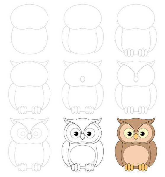 Drawing Step By Step - Easy to Draw Owl