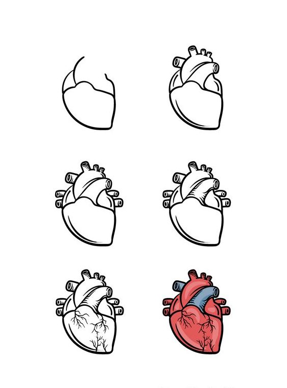 Drawing Step By Step   How To Draw A Cartoon Heart A Step By Step