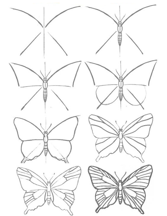 Drawing Step By Step - How to draw a butterfly step by step easy and fast