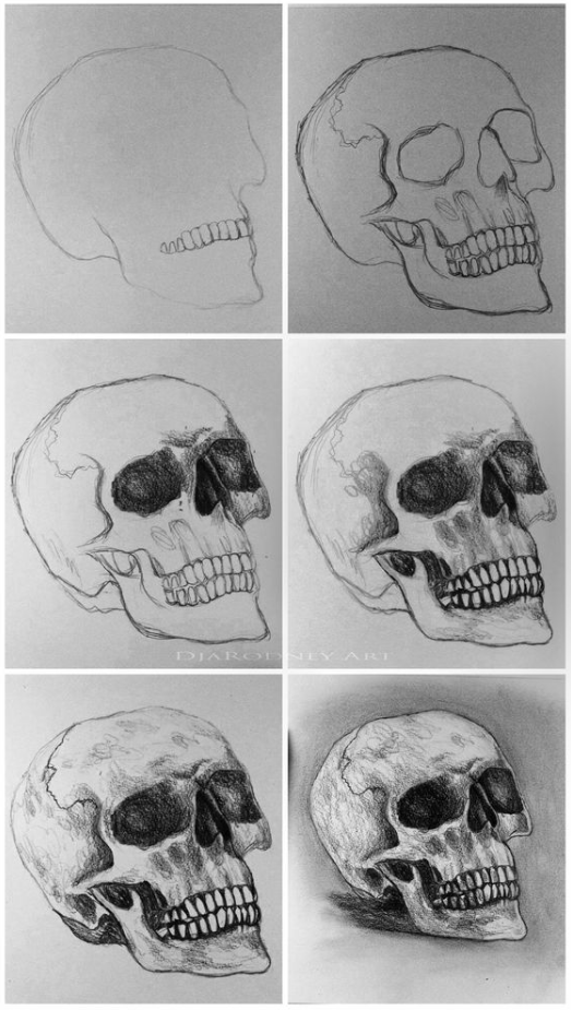 Drawing Step By Step   How To Draw A Skull Skull Drawing