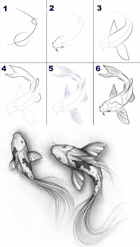 Drawing Step By Step - Step by Step Art Sketch