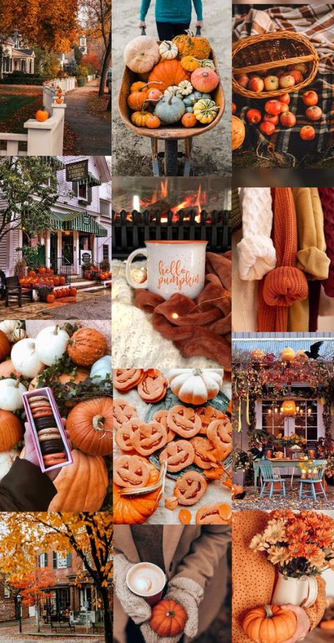 Fall Board Ideas - Autumn Collage Wallpapers Hello Pumpkin
