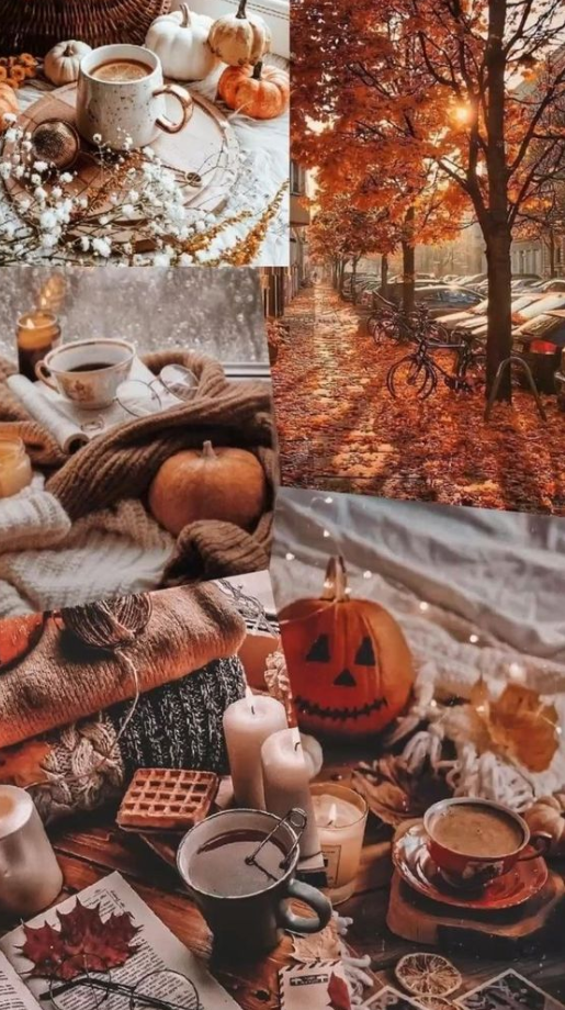 Fall Board Ideas - Fall & Halloween Mood Board Ideas Cute fall wallpaper Fall wallpaper Autumn photography