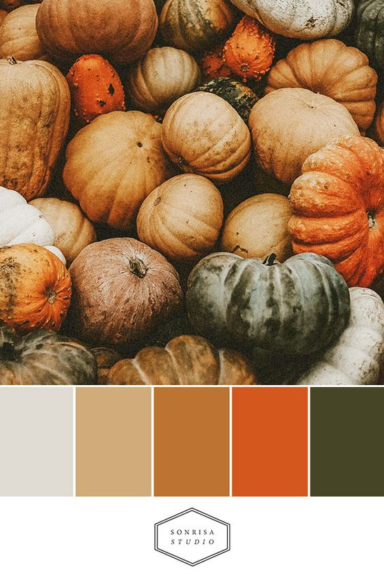 Fall Board Ideas - Fall Inspired Color Palettes