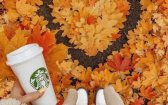 Fall Home Decor   The Starbucks Fall Menu Is Coming Including A New Owl Cake Pop