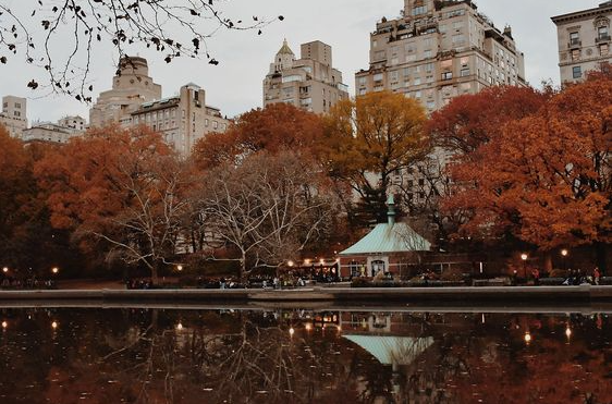 Fall Macbook Wallpaper Aesthetic   Fall In Central Park