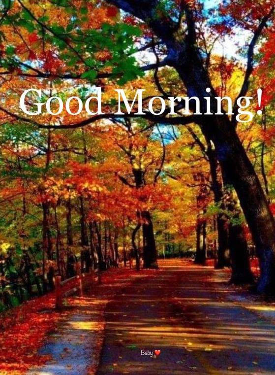 Good Morning Fall Images - Good Morning