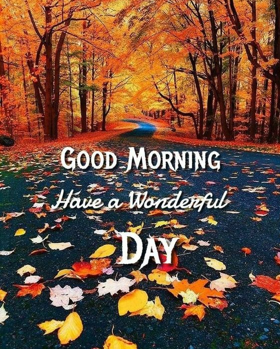 Good Morning Fall Images - Good morning nature