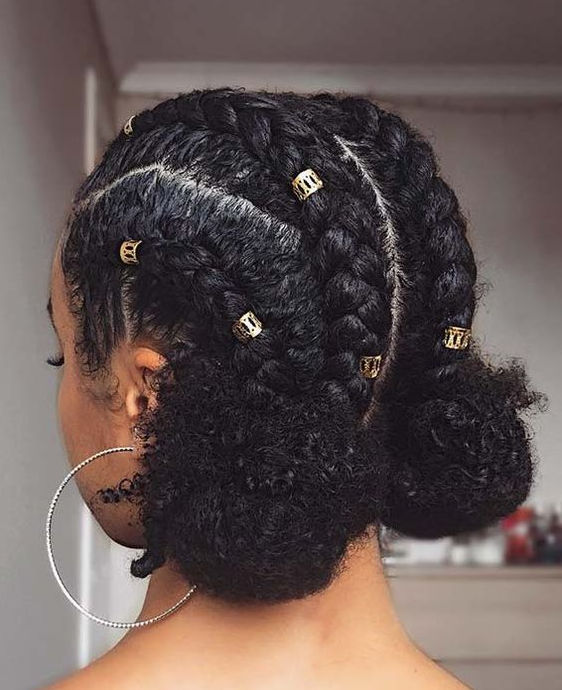 Hairstyles Natural Hair - Natural braided hairstyles black natural hairstyles