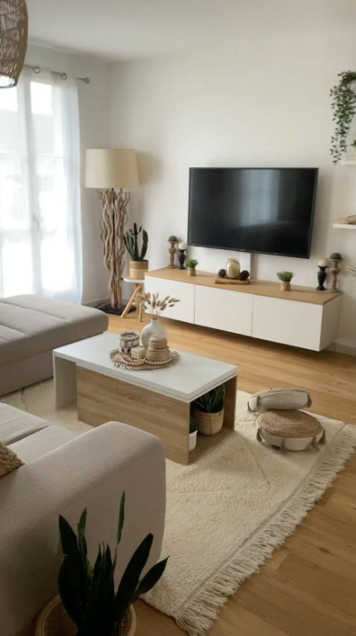 Home Decor Ideas Living Room On A Budget   Living Room Designs Small