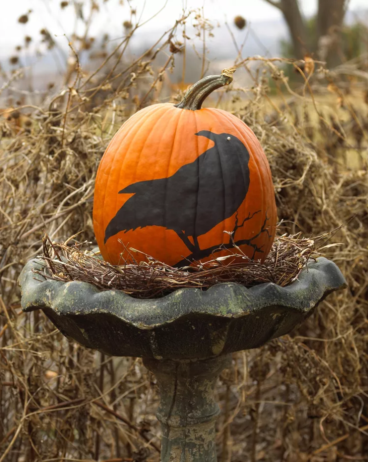 Painted Pumpkin Ideas - Creepy Crow Pumpkin