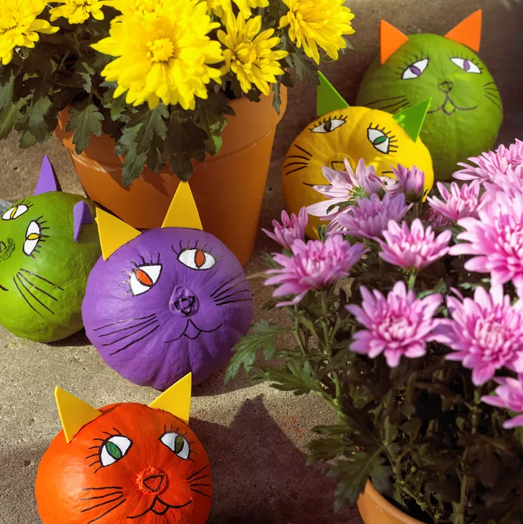 Painted Pumpkin Ideas - Friendly Halloween Cat Pumpkins