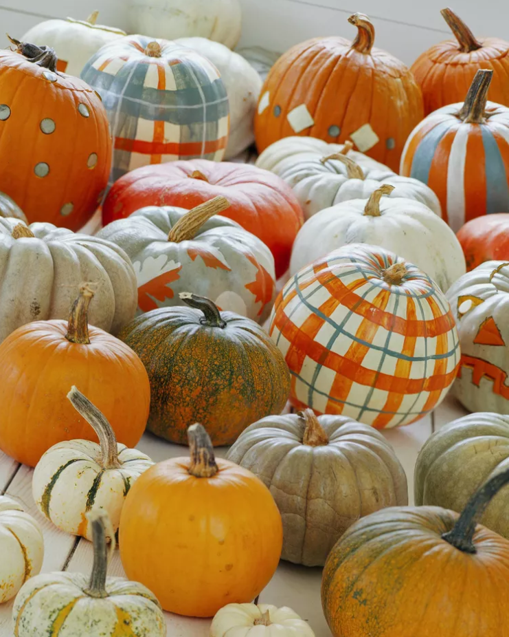 Painted Pumpkin Ideas - Mad for Plaid Pumpkins
