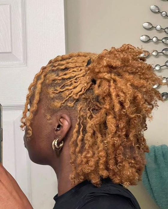 Dyed Locs Ideas   Short Locs Hairstyles Faux Locs Hairstyles