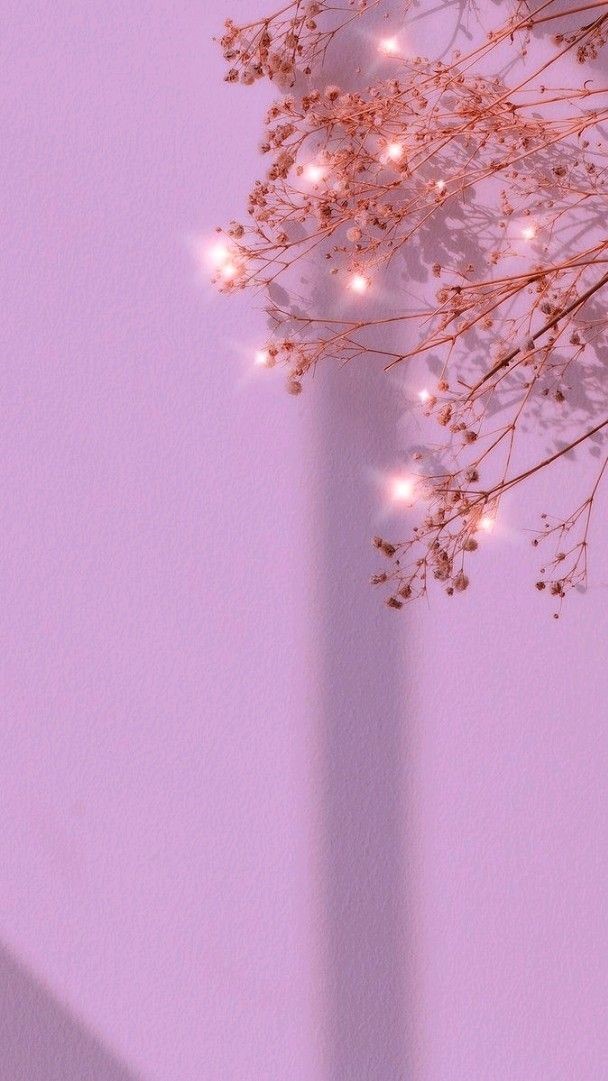 Aesthetic Wallpapers Pink Wallpaper Backgrounds